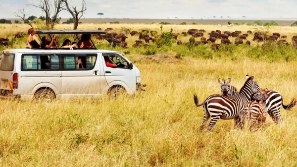 Top Adventure Travel Experiences in Africa